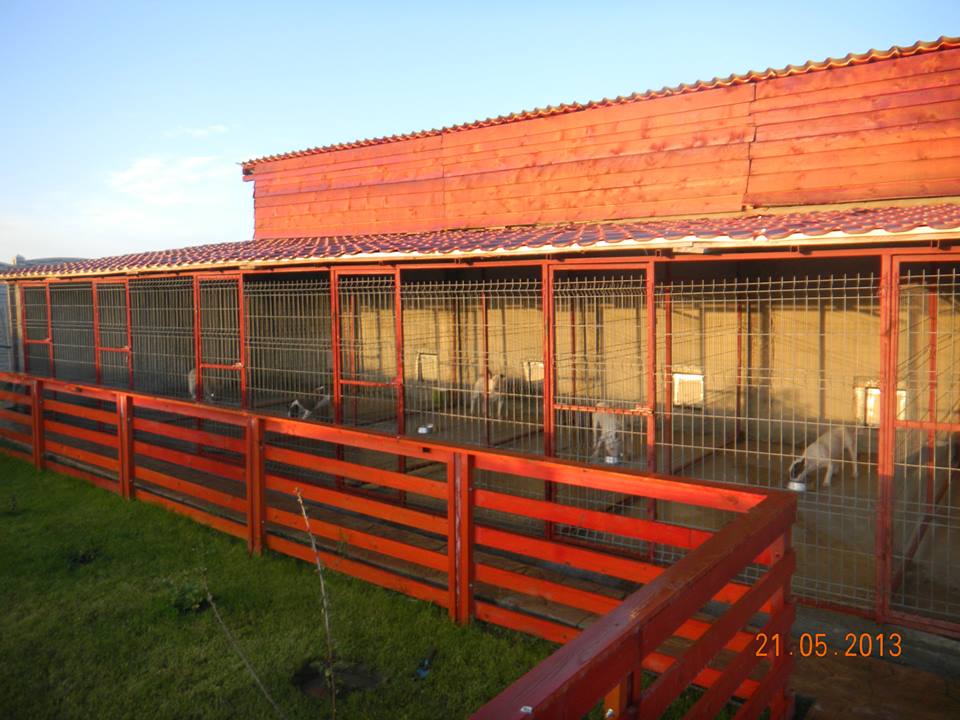 Training School 4 253302 10151511863924263 566232599 n