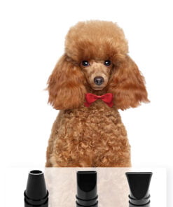 Uscator catei 8 groomland academy 1 1