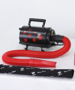 groomland academy 2 1